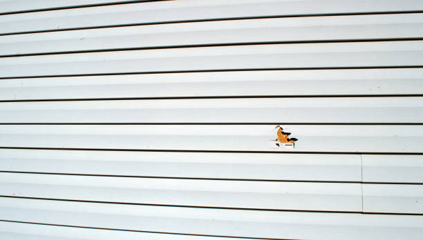 Best Brick Veneer Siding  in North Caldwell, NJ