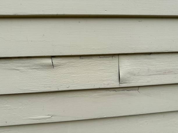 Best Residential Vinyl Siding Installation  in North Caldwell, NJ